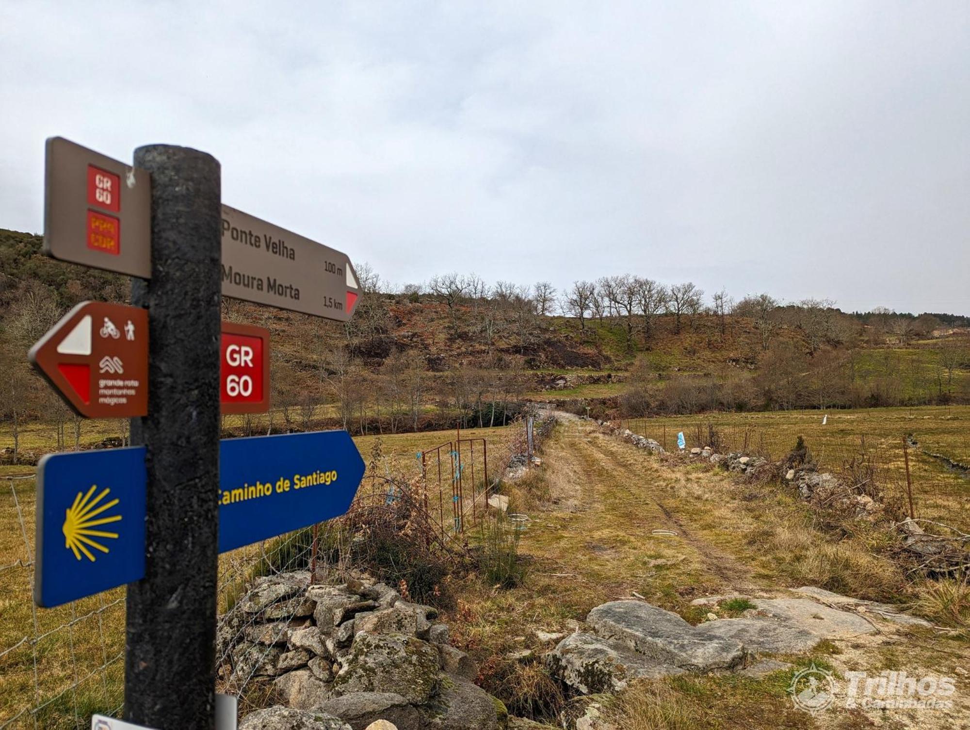 Chale Pouso Da Serra - Casas De Montanha Costilhao Eksteriør bilde